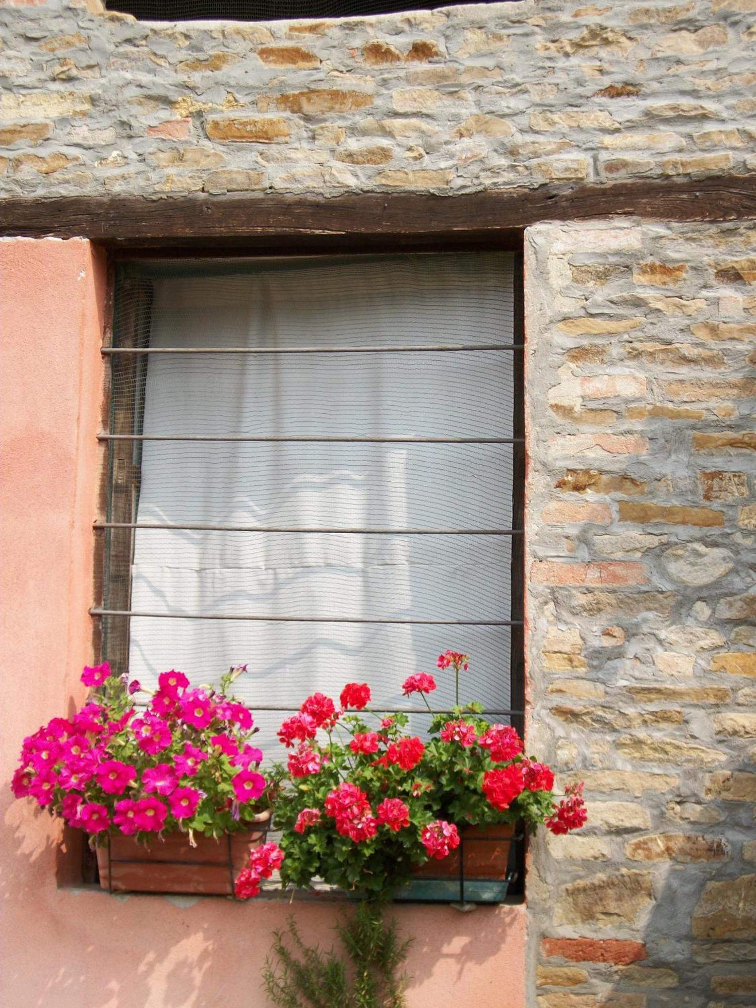 Agriturismo Ca Trinche Camo Exterior photo